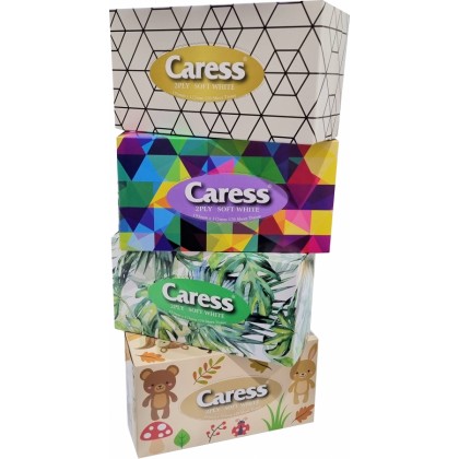 Caress/Shaye Tissues - Soft White - 2 Ply - 170 Sheets x 32 Carton